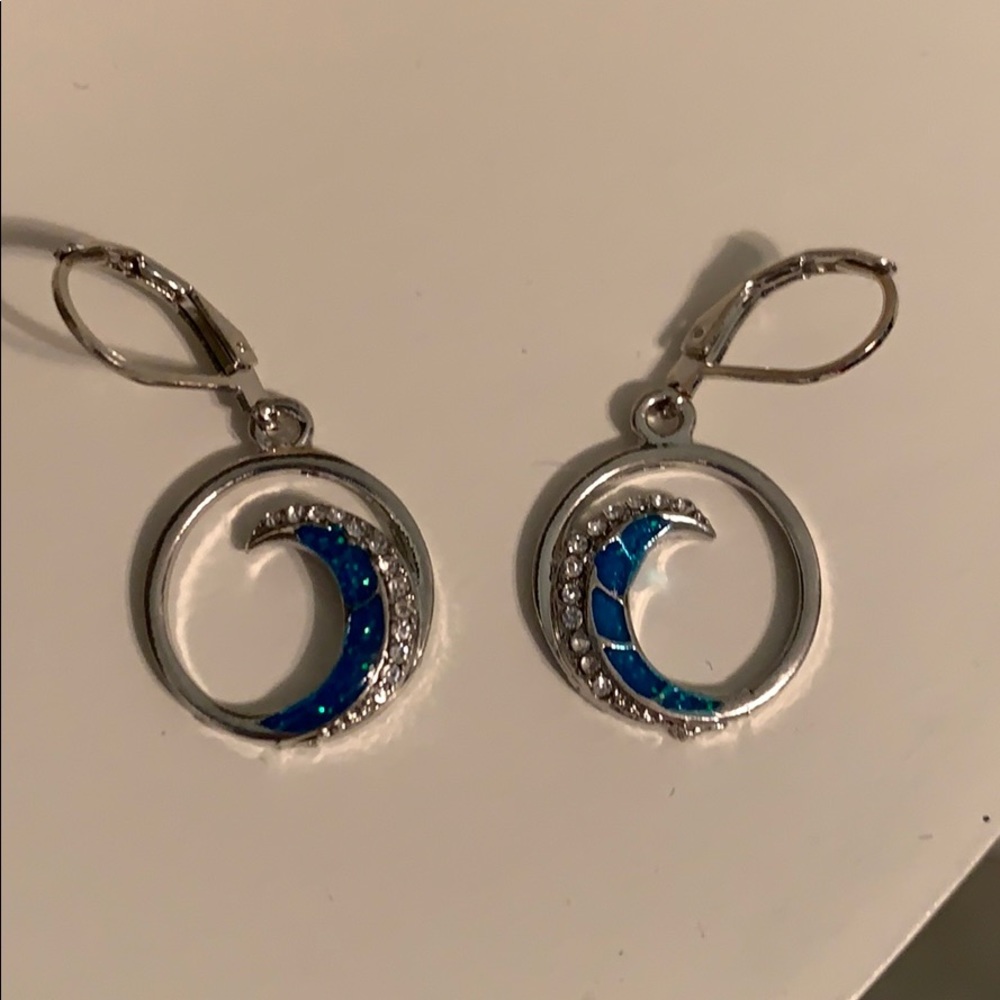 Catch a Wave Earings